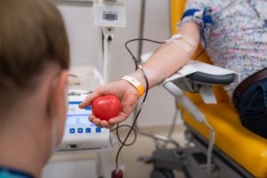 Bory Hospital Bratislava Slovakia - Blood Donors